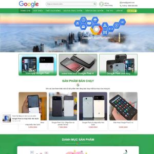 Theme wordpress Google shop