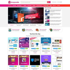 Theme wordpress bán theme, plugin
