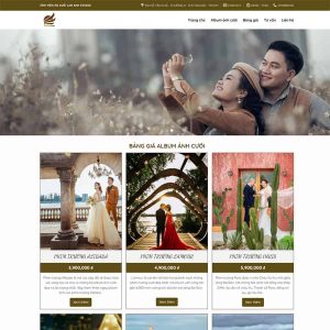 Theme wordpress studio 4